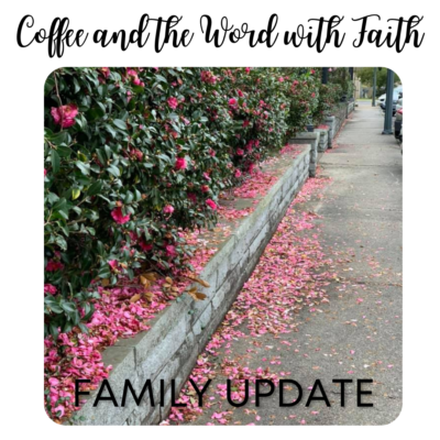 Update on Faith’s Children